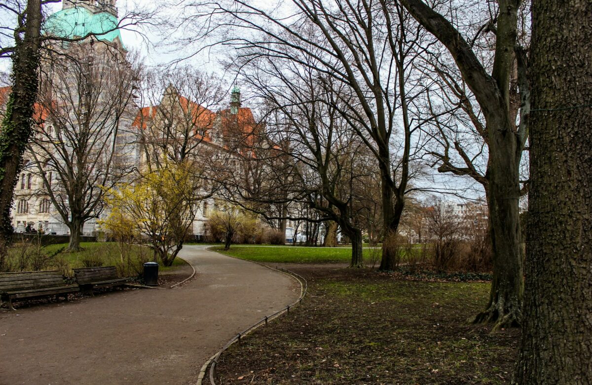 Parkallee im Herbst bei Hannover