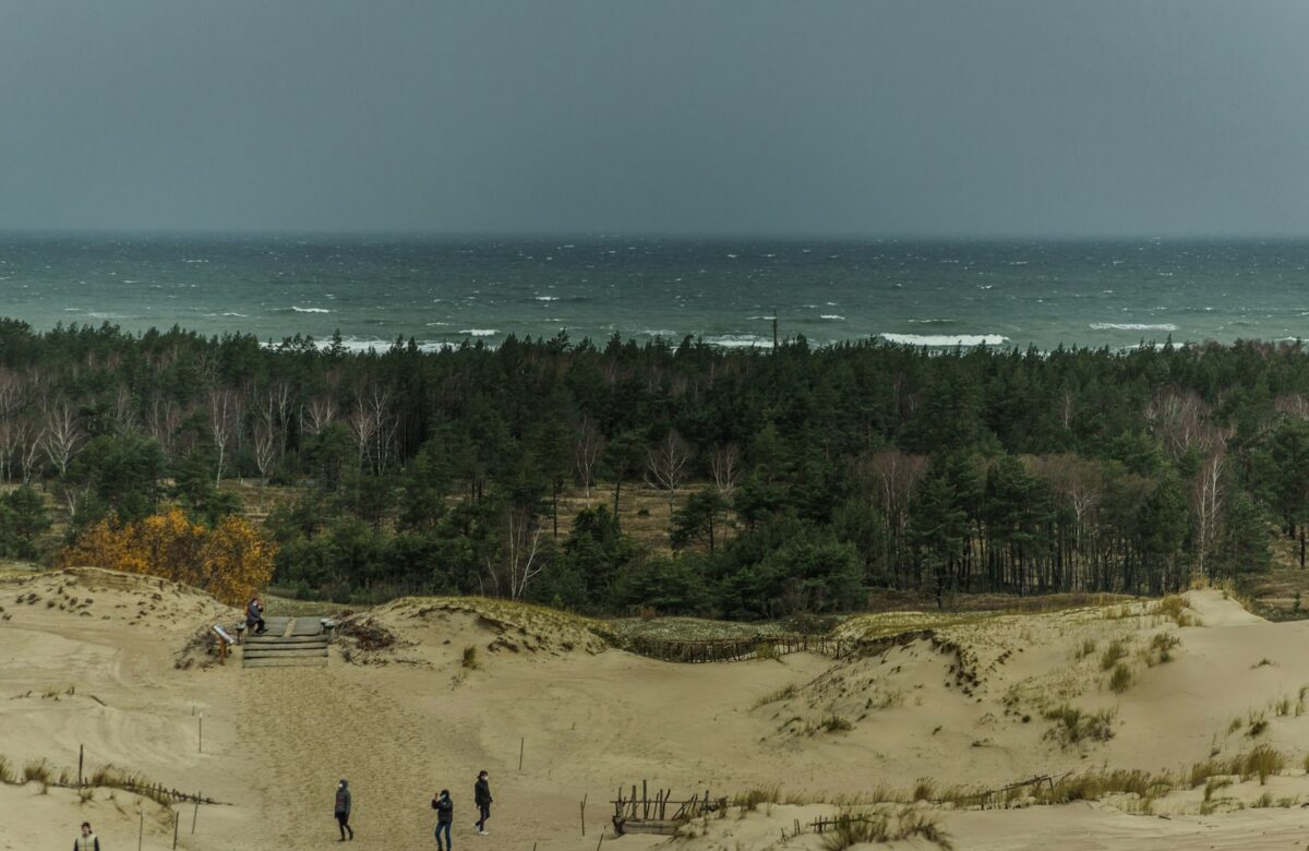 Dünen und Küstenwald an der Ostsee bei Sierksdorf